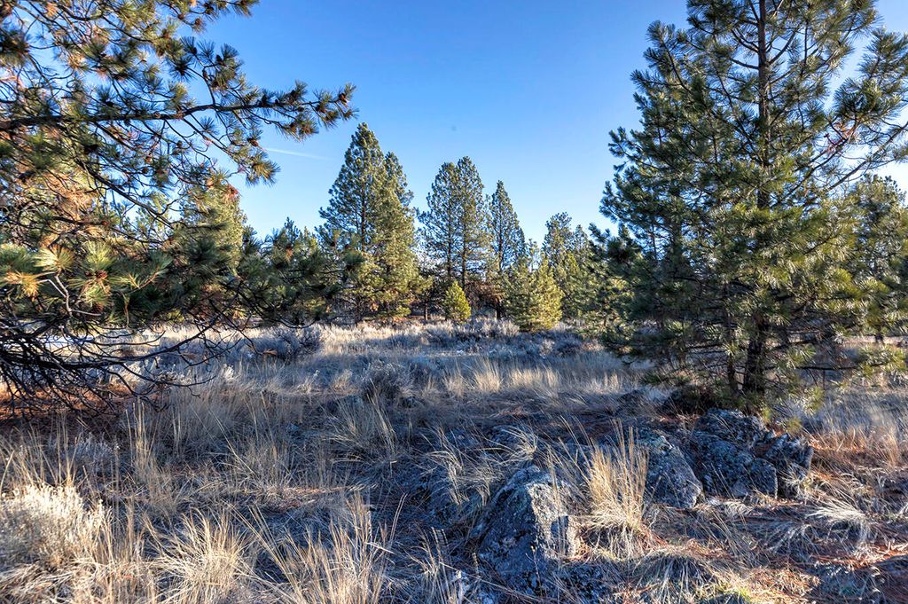 000 Stock Farm Road, Hamilton, MT 59840 photo 18