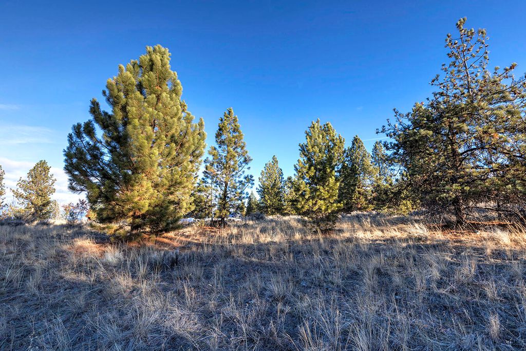 000 Stock Farm Road, Hamilton, MT 59840 photo 19