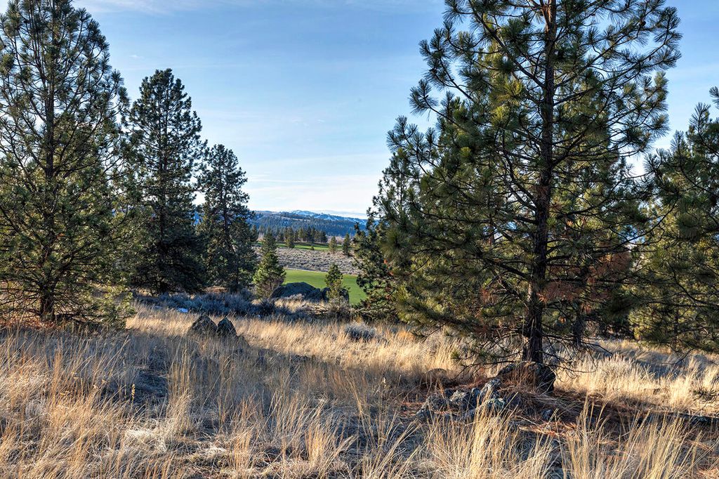 000 Stock Farm Road, Hamilton, MT 59840 photo 26