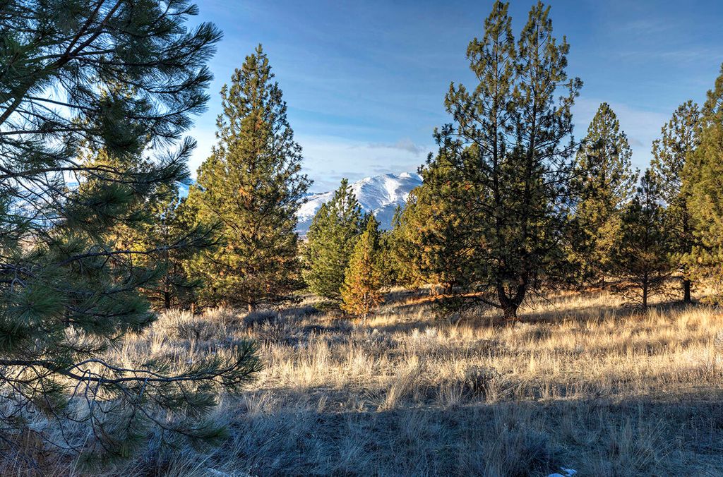 000 Stock Farm Road, Hamilton, MT 59840 photo 27