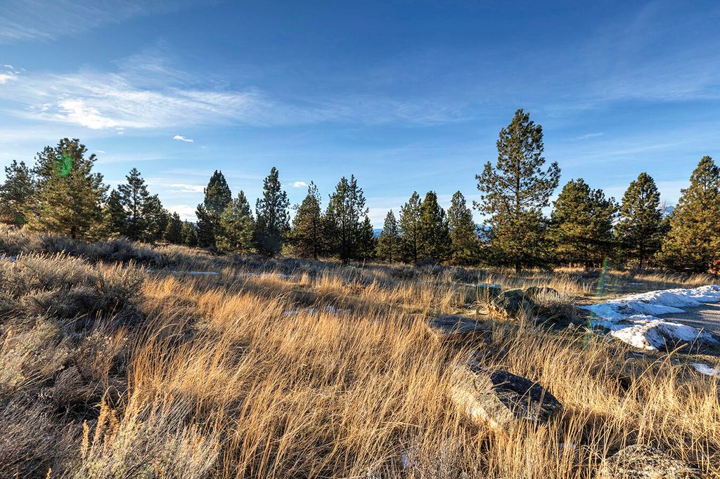 000 Stock Farm Road, Hamilton, MT 59840 photo 31