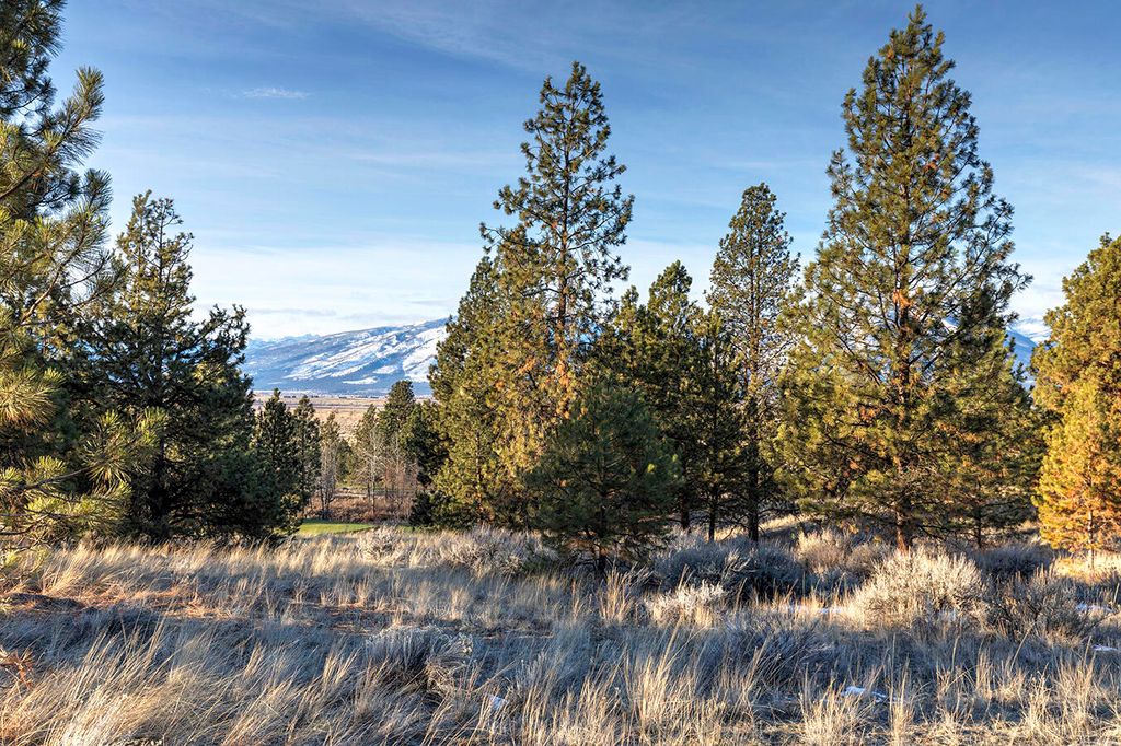 000 Stock Farm Road, Hamilton, MT 59840 photo 8