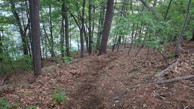 32 Birch Rd, Natick, MA 01760
