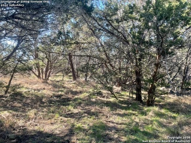 1049 Summit Ridge, New Braunfels, TX 78132
