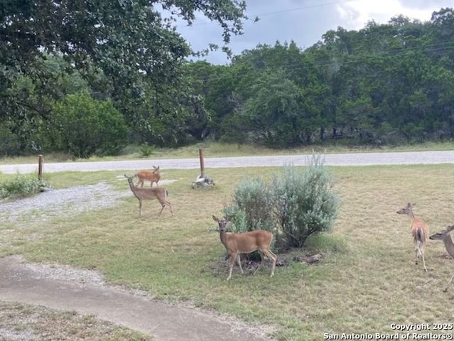 1049 Summit Ridge, New Braunfels, TX 78132