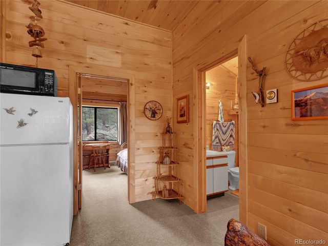 1462 Pulver Road, Lake George, CO 80827