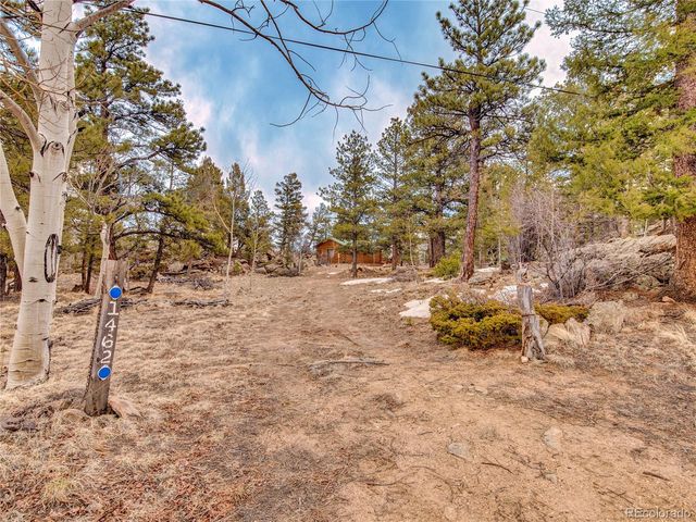 1462 Pulver Road, Lake George, CO 80827
