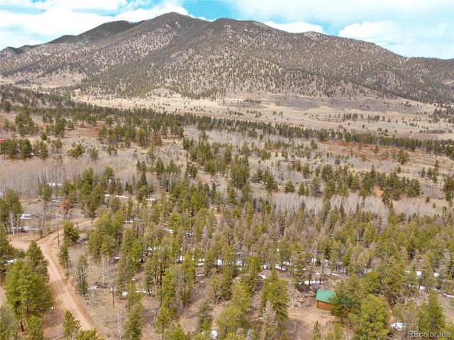 1462 Pulver Road, Lake George, CO 80827