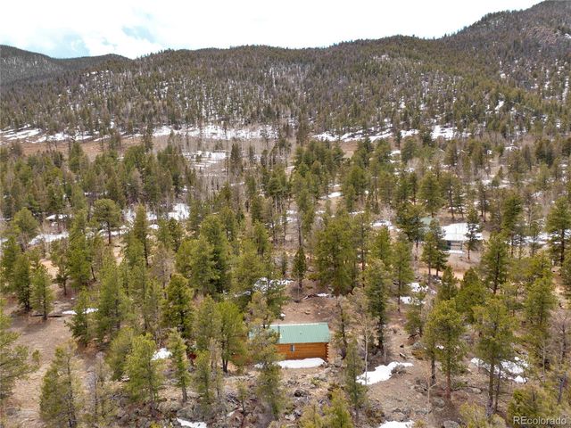 1462 Pulver Road, Lake George, CO 80827