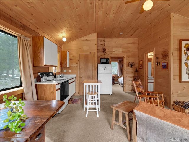 1462 Pulver Road, Lake George, CO 80827