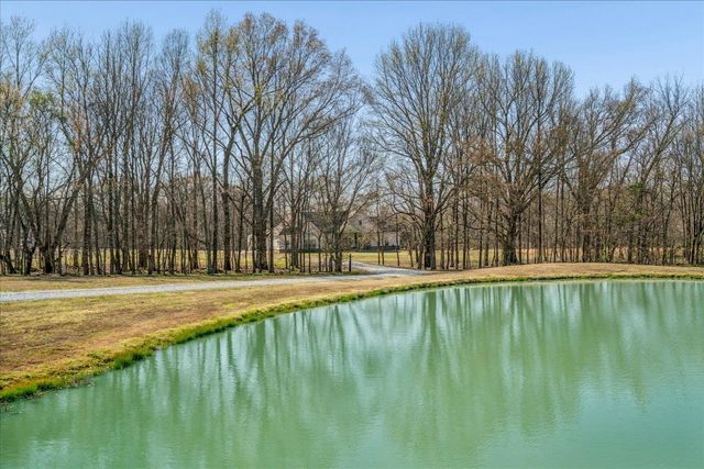 6035 FEATHERS CHAPEL DR, Somerville, TN 38068