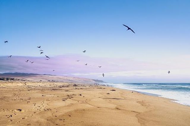 3 Pelican Point, Watsonville, CA 95076