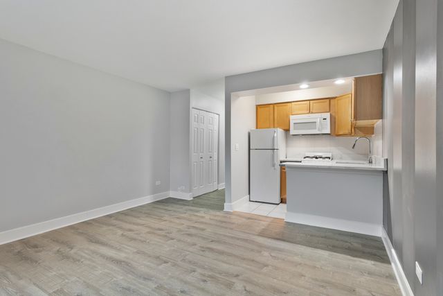 6758 N Sheridan Avenue 241, Chicago, IL 60626