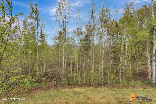 2804 W Discovery Loop, Wasilla, AK 99654