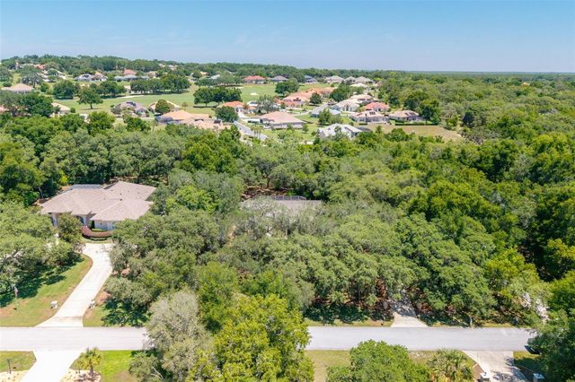 315 W BRITAIN STREET, Hernando, FL 34442