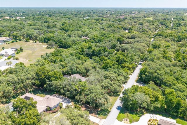 315 W BRITAIN STREET, Hernando, FL 34442