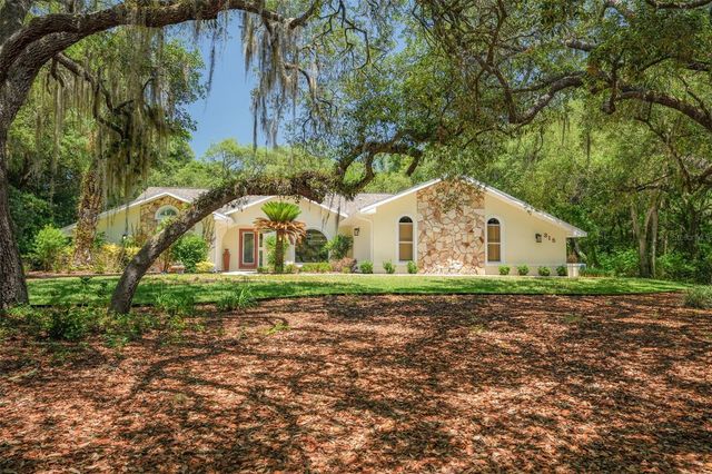 315 W BRITAIN STREET, Hernando, FL 34442