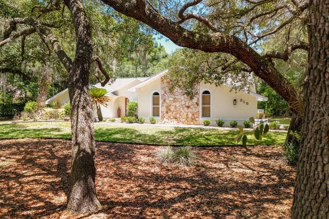 315 W BRITAIN STREET, Hernando, FL 34442