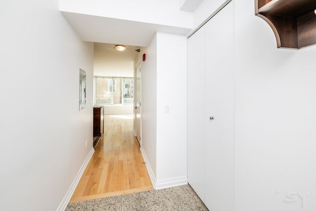 33 W ontario Street 15C, Chicago, IL 60654