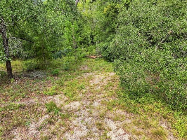 89 S HAID TERRACE, Lecanto, FL 34461