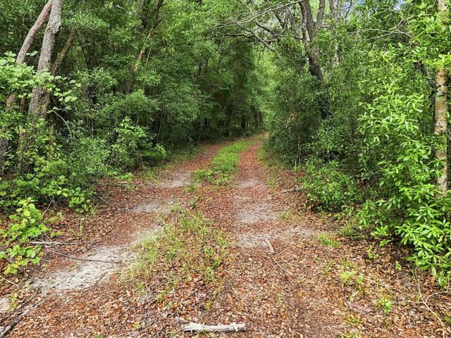 89 S HAID TERRACE, Lecanto, FL 34461