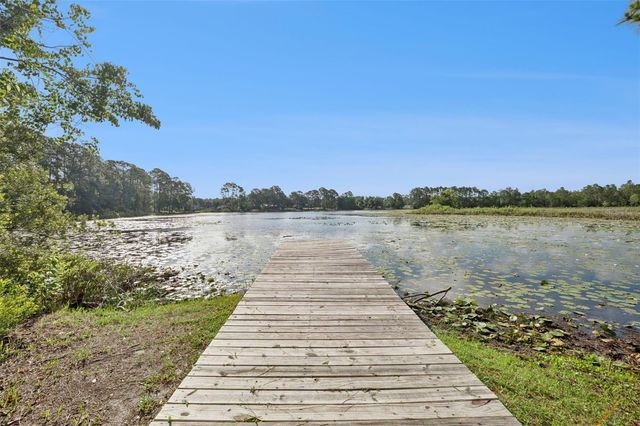 42146 PINE VALLEY DRIVE, Paisley, FL 32767
