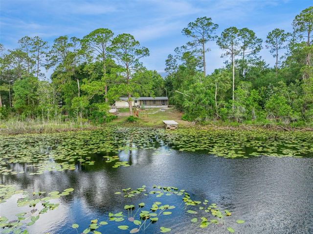 42146 PINE VALLEY DRIVE, Paisley, FL 32767
