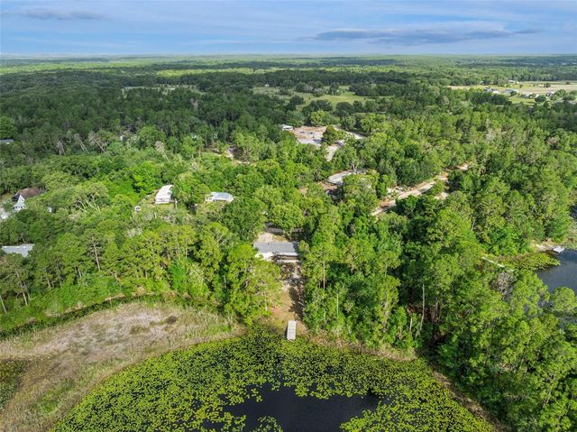 42146 PINE VALLEY DRIVE, Paisley, FL 32767