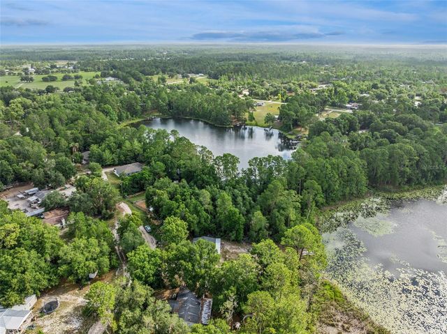 42146 PINE VALLEY DRIVE, Paisley, FL 32767