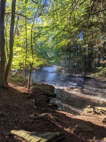 64 Cumberland Trail, Smallwood, NY 12778