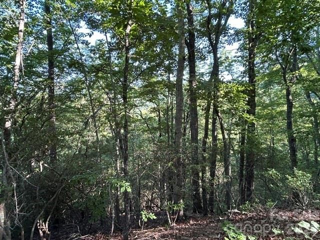 138 Settlers View, Union Mills, NC 28167