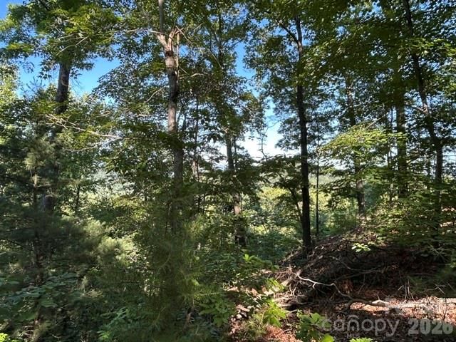 138 Settlers View, Union Mills, NC 28167