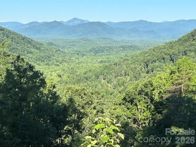 138 Settlers View, Union Mills, NC 28167