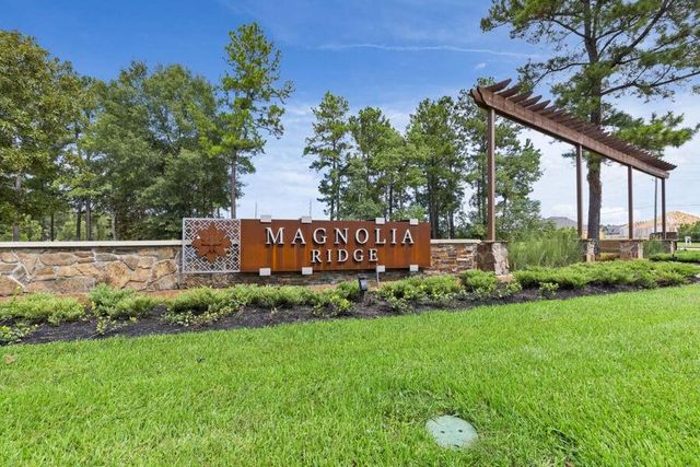277 Douglas Hills Drive, Magnolia, TX 77354