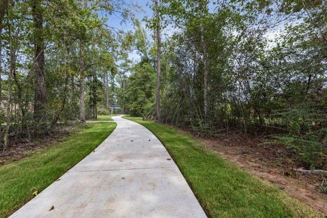 277 Douglas Hills Drive, Magnolia, TX 77354