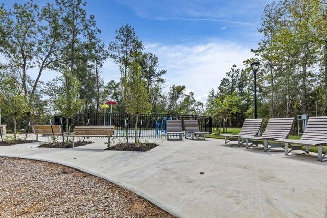 277 Douglas Hills Drive, Magnolia, TX 77354