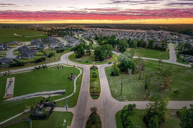 277 Douglas Hills Drive, Magnolia, TX 77354