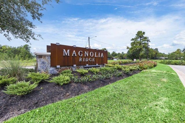277 Douglas Hills Drive, Magnolia, TX 77354