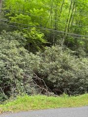000 BUTLER BRANCH Road, Pittman Center, TN 37738