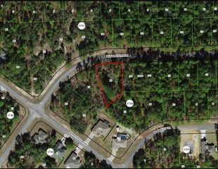 968 W BANNISTER DRIVE, Citrus Springs, FL 34434