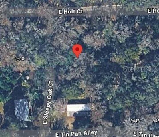 9436 E SLEEPY OAK COURT, Inverness, FL 34453
