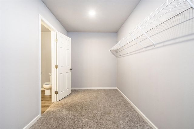 709 Skyview Trail, Ionia, MI 48846