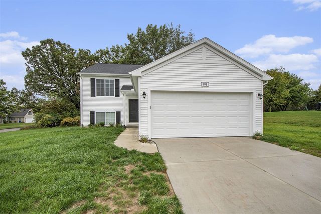 709 Skyview Trail, Ionia, MI 48846