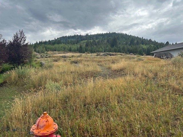LOT 12 Mammoth, Butte, MT 59701