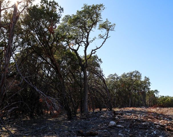 3101 - 3 Longhorn TRL, Wimberley, TX 78676