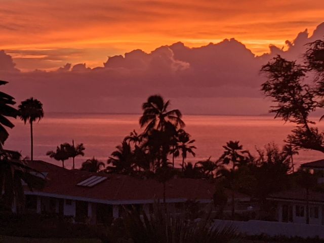 3950 Kalai Waa St Apt Y202 202, Kihei, HI 96753