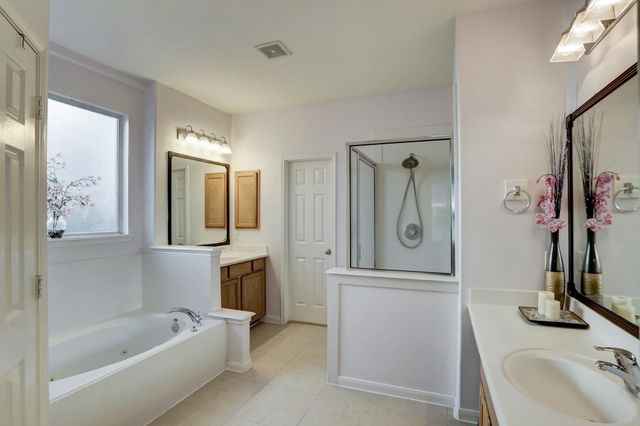 16906 Bird Creek Drive, Houston, TX 77084