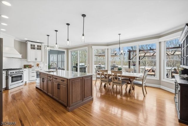 9 Mills Ridge, Sparta Twp., NJ 07871