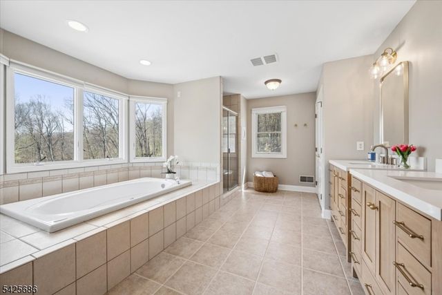 9 Mills Ridge, Sparta Twp., NJ 07871