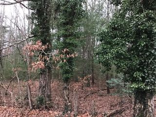 Tbd Hall Avenue Sw Avenue, Wise, VA 24293
